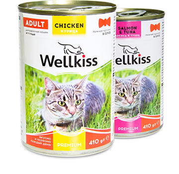 Веллкисс корм для кошек сухой thumbnail