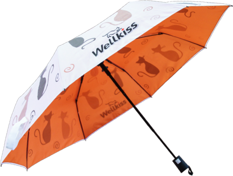 зонт в подарок