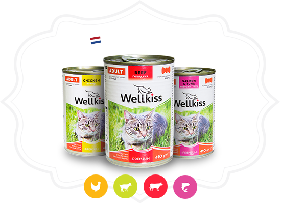 Wellkiss корм для кошек 4 лапы